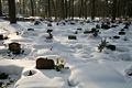 20100217 Waldfriedhof Schnee.jpg