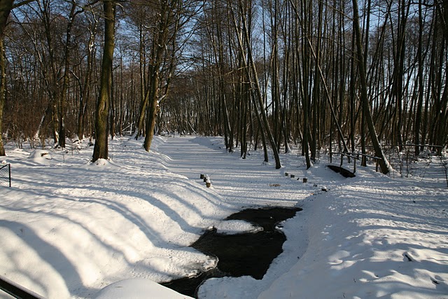 Datei:Mühlenfließ in Eggersdorf.jpg