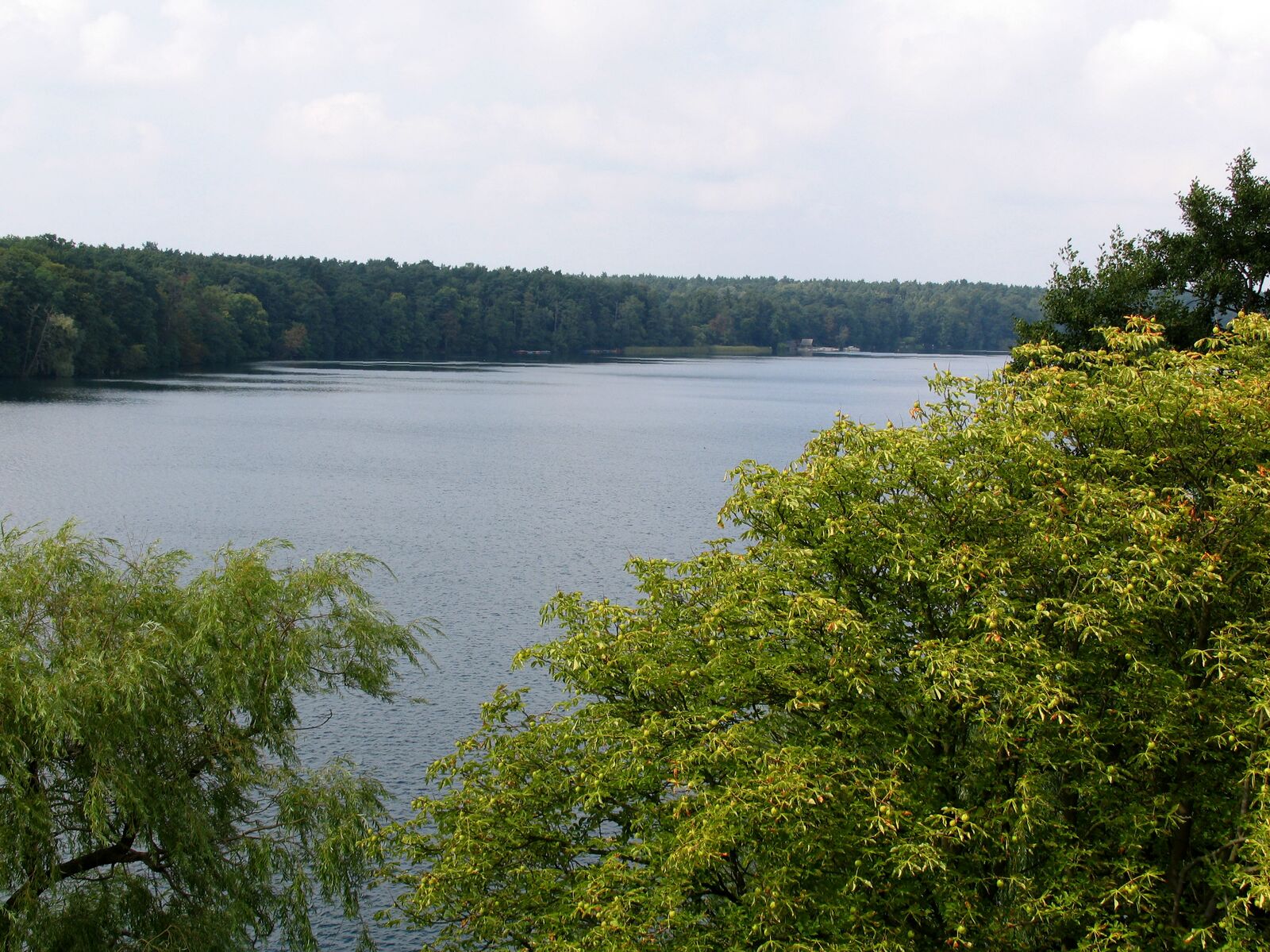 Datei20050824 Straussee.jpg Stadtwiki Strausberg