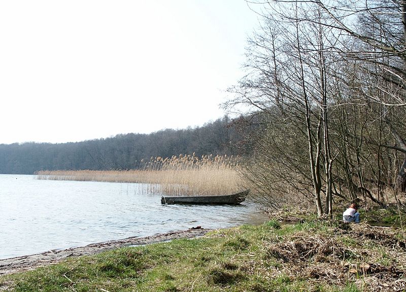 Datei:2004 April Muendung des Annafliess in den Stienitzsee 2.jpg