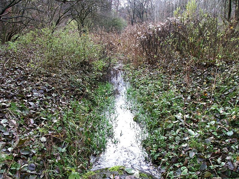 Datei:2009 Oktober Annafliess in der Naehe von Torfhaus Blickrichtung Stienitzsee.jpg